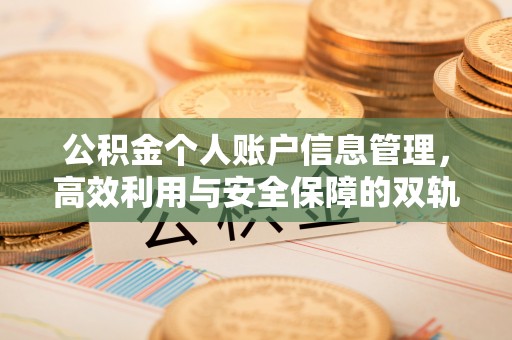 克山公积金个人账户信息管理，高效利用与安全保障的双轨并行