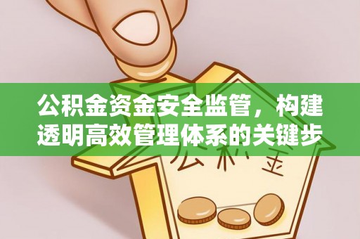 克山公积金资金安全监管，构建透明高效管理体系的关键步骤