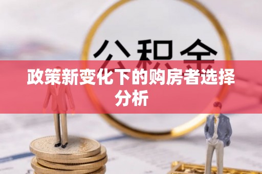 克山政策新变化下的购房者选择分析