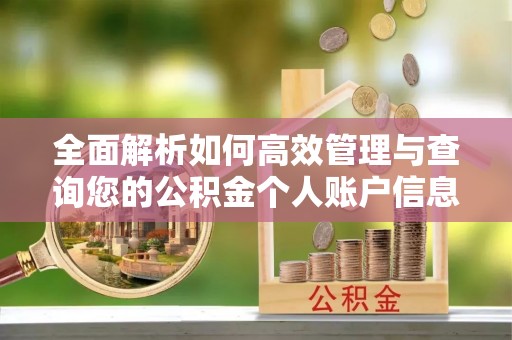 克山全面解析如何高效管理与查询您的公积金个人账户信息