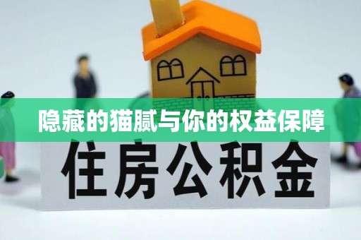 克山隐藏的猫腻与你的权益保障